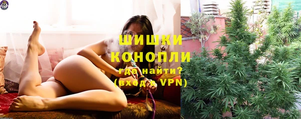 прущие грибы Красноперекопск