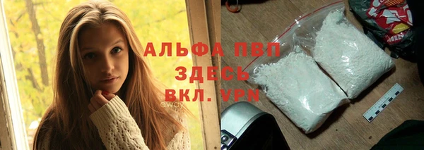прущие грибы Красноперекопск