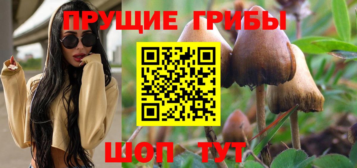 Галлюциногенные грибы мухоморы Люберцы