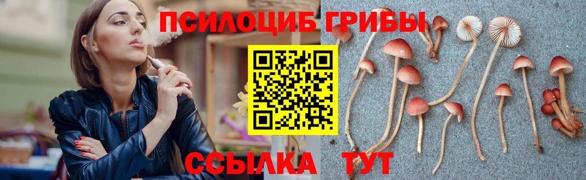 Люберцы  Псилоцибиновые грибы ЛСД  Вход с VPN 