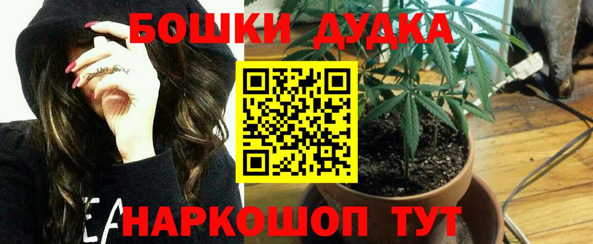 Конопля план Люберцы